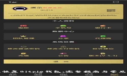如何有效恢复Bitpie钱包：完整指南与常见问题解答