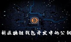深入解析区块链钱包开发中的公钥和私钥
