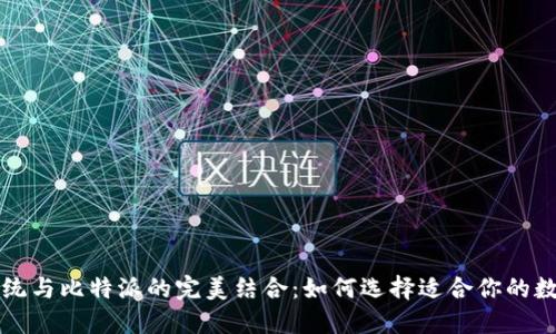 苹果系统与比特派的完美结合：如何选择适合你的数字钱包