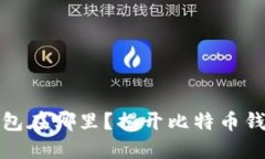 最早的比特币钱包在哪里