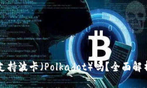 比特派钱包支持波卡（Polkadot）吗？全面解析与使用指南