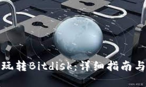 如何高效玩转Bitdisk：详细指南与实用技巧