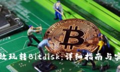 如何高效玩转Bitdisk：详细