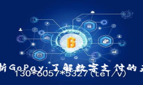 全面解析GoPay：了解数字支付的未来平台