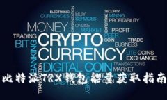 比特派TRX钱包能量获取指