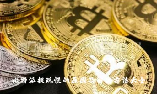 比特派提现慢的原因及解决方法大全