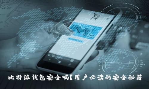 比特派钱包安全吗？用户必读的安全秘籍