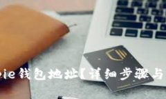 如何查看Bitpie钱包地址？