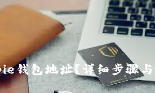 如何查看Bitpie钱包地址？详细步骤与常见问题解析