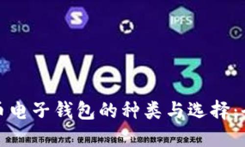 数字货币电子钱包的种类与选择：全面指南