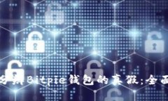 如何分辨Bitpie钱包的真假：全面指南